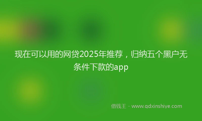 现在可以用的网贷2025年推荐，归纳五个黑户无条件下款的app