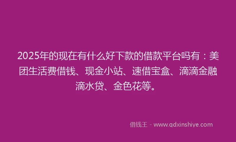 2025年的现在有什么好下款的借款平台吗有：美团生活费借钱、现金小站、速借宝盒、滴滴金融滴水贷、金色花等。