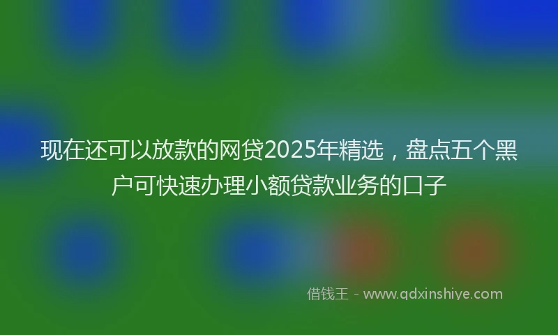 现在还可以放款的网贷2025年精选，盘点五个黑户可快速办理小额贷款业务的口子