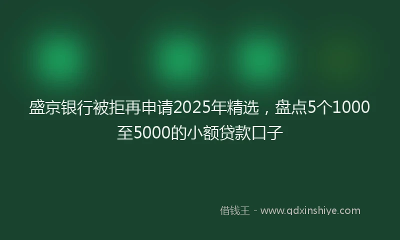 盛京银行被拒再申请2025年精选，盘点5个1000至5000的小额贷款口子
