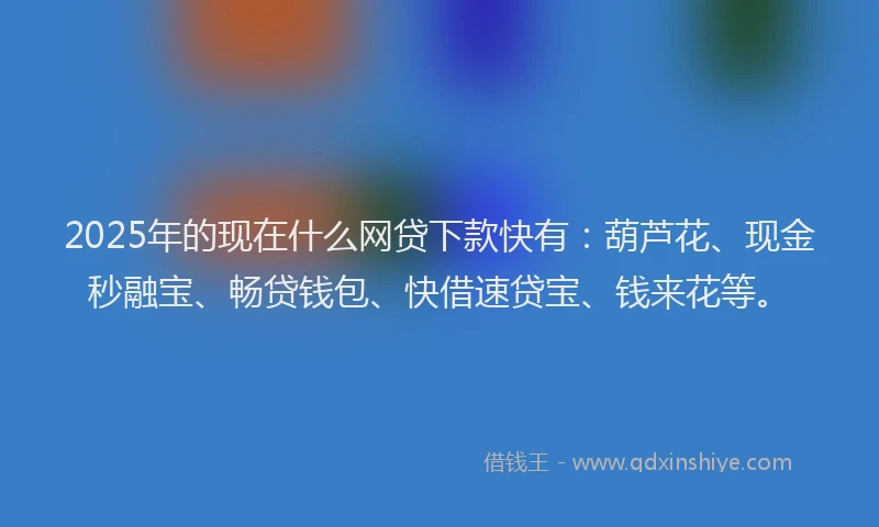 2025年的现在什么网贷下款快有：葫芦花、现金秒融宝、畅贷钱包、快借速贷宝、钱来花等。