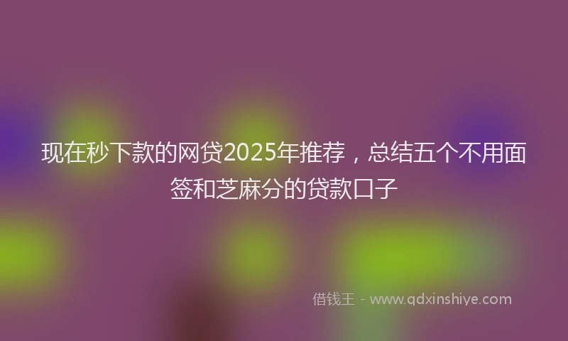 现在秒下款的网贷2025年推荐，总结五个不用面签和芝麻分的贷款口子