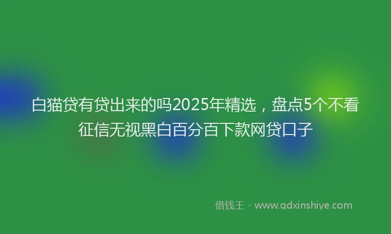白猫贷有贷出来的吗2025年精选，盘点5个不看征信无视黑白百分百下款网贷口子