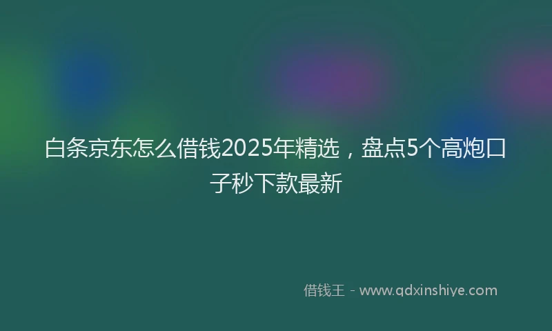 白条京东怎么借钱2025年精选，盘点5个高炮口子秒下款最新