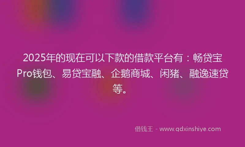 2025年的现在可以下款的借款平台有：畅贷宝Pro钱包、易贷宝融、企鹅商城、闲猪、融逸速贷等。