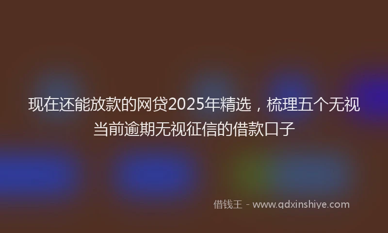 现在还能放款的网贷2025年精选，梳理五个无视当前逾期无视征信的借款口子