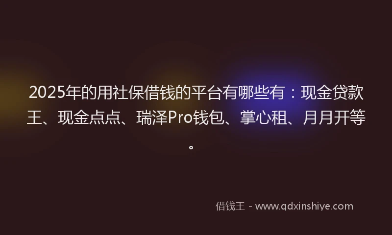 2025年的用社保借钱的平台有哪些有：现金贷款王、现金点点、瑞泽Pro钱包、掌心租、月月开等。