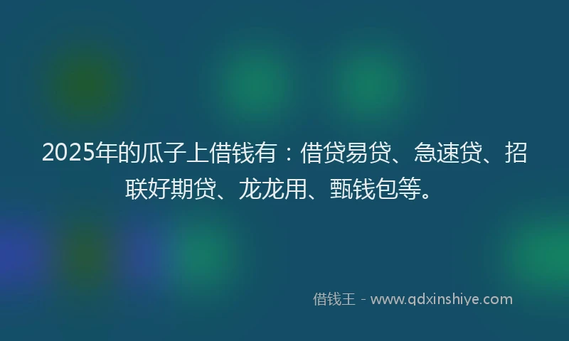 2025年的瓜子上借钱有：借贷易贷、急速贷、招联好期贷、龙龙用、甄钱包等。