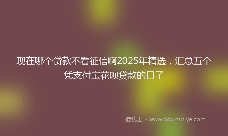 现在哪个贷款不看征信啊2025年精选，汇总五个凭支付宝花呗贷款的口子