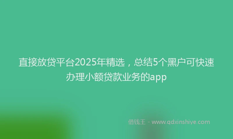 直接放贷平台2025年精选，总结5个黑户可快速办理小额贷款业务的app