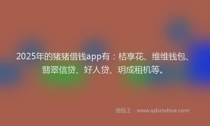 2025年的猪猪借钱app有：桔享花、维维钱包、翡翠信贷、好人贷、玥成租机等。