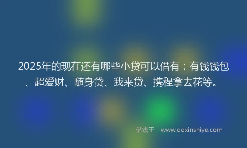 2025年的现在还有哪些小贷可以借有：有钱钱包、超爱财、随身贷、我来贷、携程拿去花等。