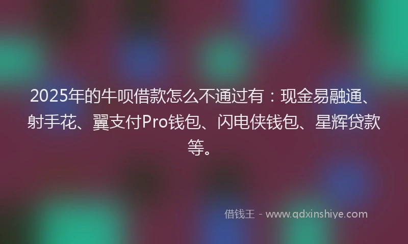 2025年的牛呗借款怎么不通过有：现金易融通、射手花、翼支付Pro钱包、闪电侠钱包、星辉贷款等。