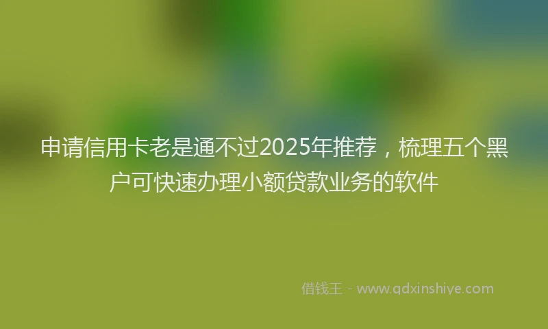 申请信用卡老是通不过2025年推荐，梳理五个黑户可快速办理小额贷款业务的软件