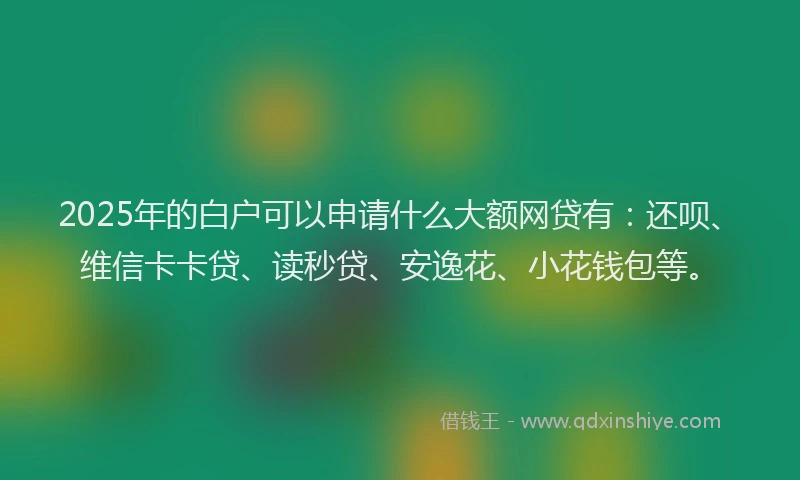 2025年的白户可以申请什么大额网贷有：还呗、维信卡卡贷、读秒贷、安逸花、小花钱包等。