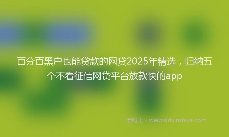 百分百黑户也能贷款的网贷2025年精选，归纳五个不看征信网贷平台放款快的app