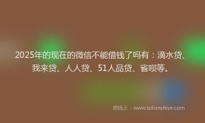 2025年的现在的微信不能借钱了吗有：滴水贷、我来贷、人人贷、51人品贷、省呗等。