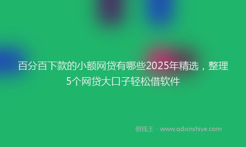 百分百下款的小额网贷有哪些2025年精选，整理5个网贷大口子轻松借软件