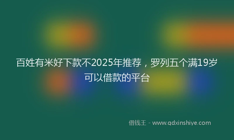 百姓有米好下款不2025年推荐，罗列五个满19岁可以借款的平台