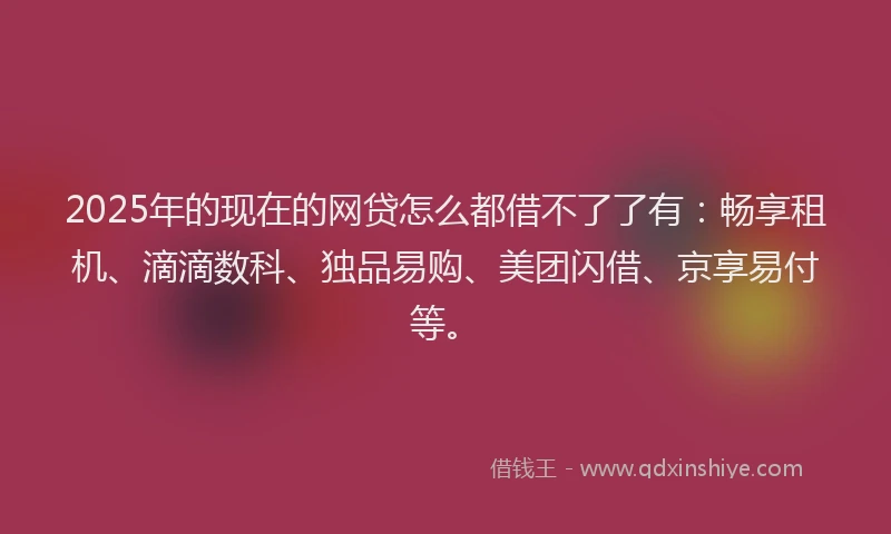 2025年的现在的网贷怎么都借不了了有：畅享租机、滴滴数科、独品易购、美团闪借、京享易付等。