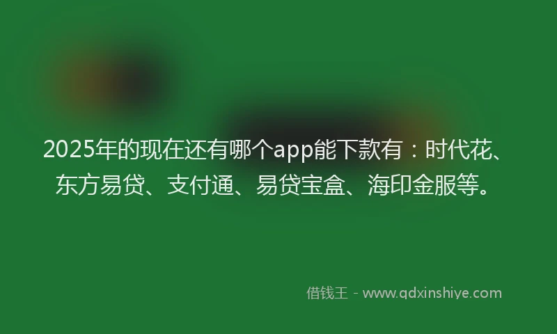 2025年的现在还有哪个app能下款有：时代花、东方易贷、支付通、易贷宝盒、海印金服等。