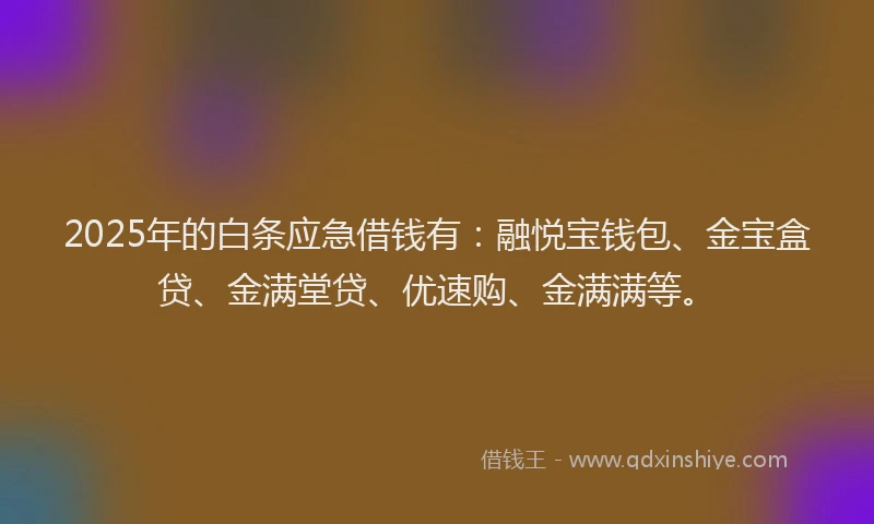 2025年的白条应急借钱有：融悦宝钱包、金宝盒贷、金满堂贷、优速购、金满满等。