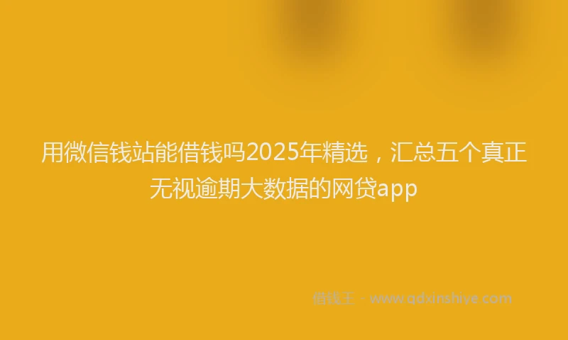 用微信钱站能借钱吗2025年精选，汇总五个真正无视逾期大数据的网贷app