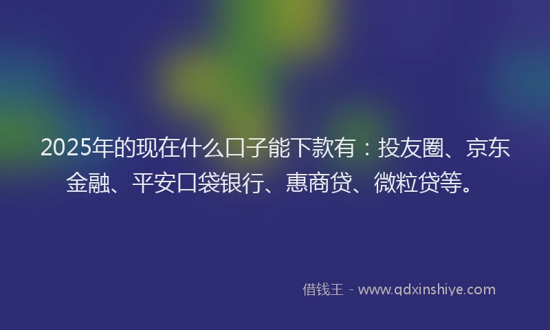 2025年的现在什么口子能下款有：投友圈、京东金融、平安口袋银行、惠商贷、微粒贷等。