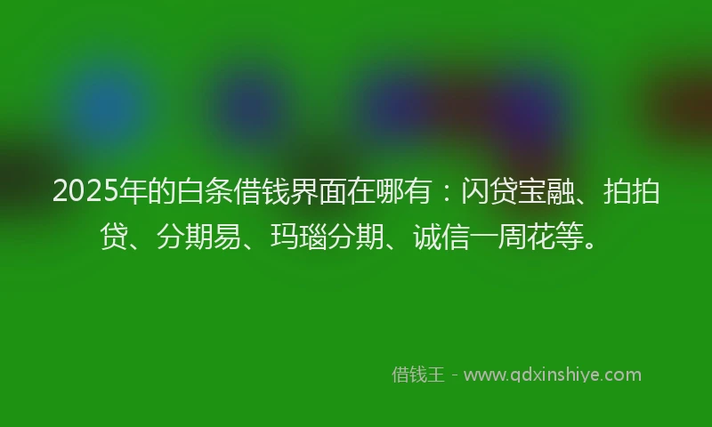 2025年的白条借钱界面在哪有：闪贷宝融、拍拍贷、分期易、玛瑙分期、诚信一周花等。
