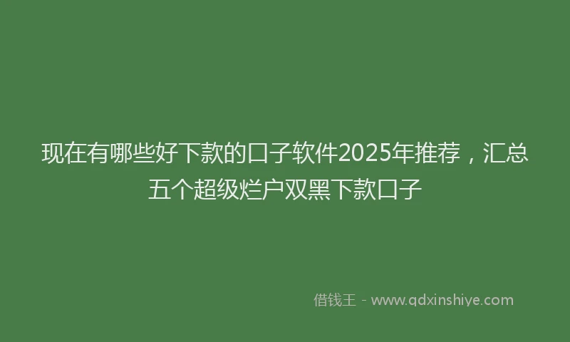 现在有哪些好下款的口子软件2025年推荐，汇总五个超级烂户双黑下款口子