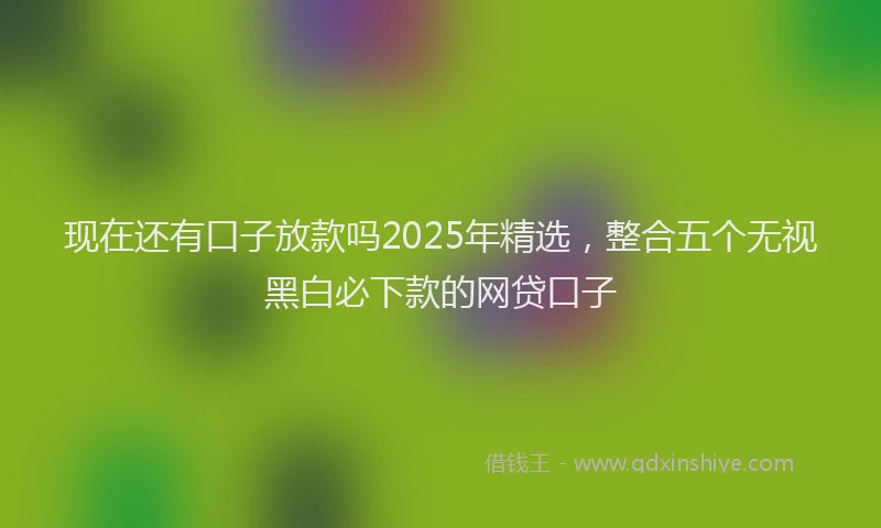 现在还有口子放款吗2025年精选，整合五个无视黑白必下款的网贷口子