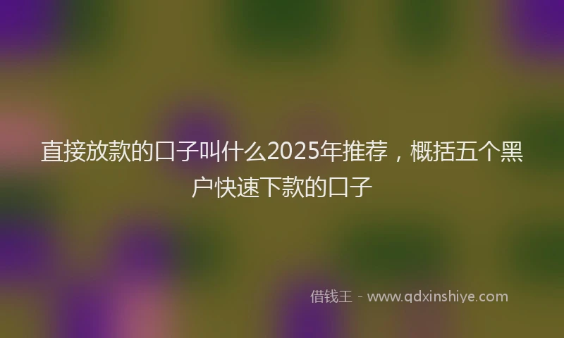 直接放款的口子叫什么2025年推荐，概括五个黑户快速下款的口子