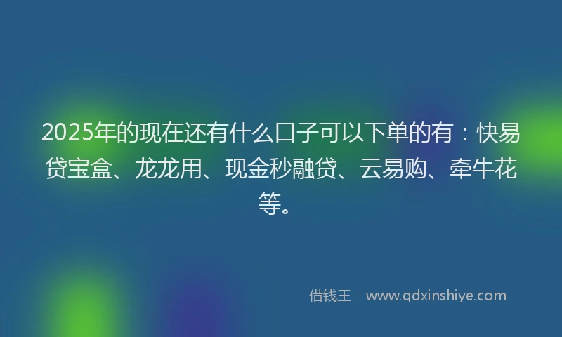 2025年的现在还有什么口子可以下单的有：快易贷宝盒、龙龙用、现金秒融贷、云易购、牵牛花等。