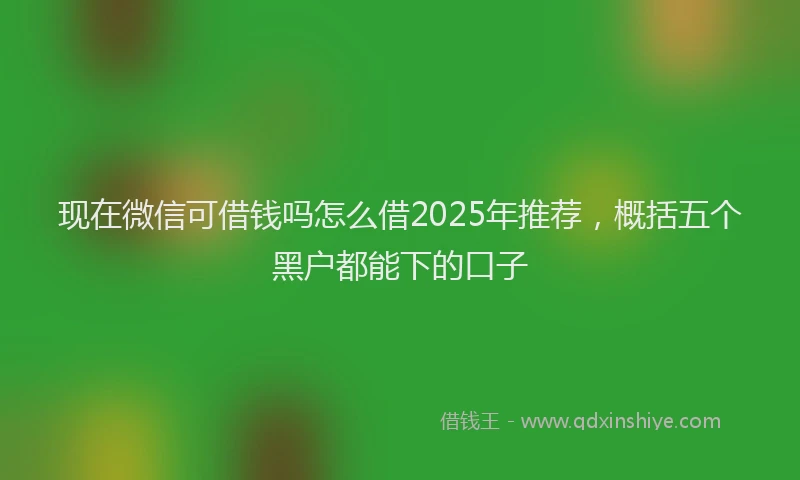 现在微信可借钱吗怎么借2025年推荐，概括五个黑户都能下的口子