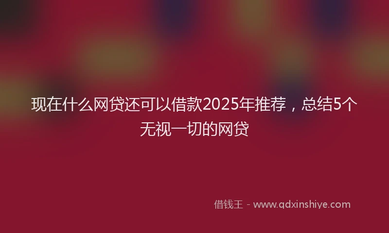 现在什么网贷还可以借款2025年推荐，总结5个无视一切的网贷