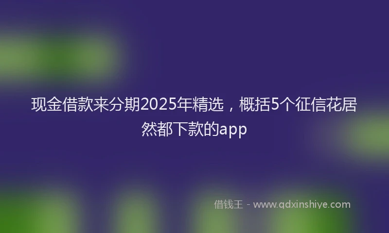 现金借款来分期2025年精选，概括5个征信花居然都下款的app