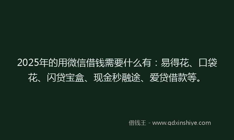 2025年的用微信借钱需要什么有：易得花、口袋花、闪贷宝盒、现金秒融途、爱贷借款等。