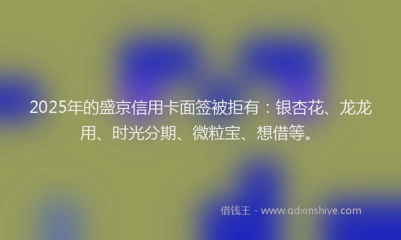 2025年的盛京信用卡面签被拒有：银杏花、龙龙用、时光分期、微粒宝、想借等。