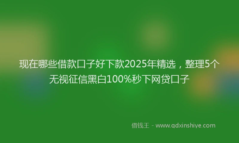 现在哪些借款口子好下款2025年精选，整理5个无视征信黑白100%秒下网贷口子