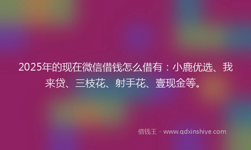 2025年的现在微信借钱怎么借有：小鹿优选、我来贷、三枝花、射手花、壹现金等。