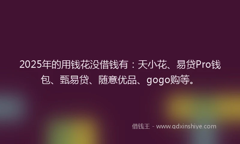 2025年的用钱花没借钱有：天小花、易贷Pro钱包、甄易贷、随意优品、gogo购等。