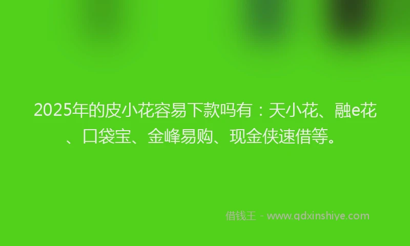 2025年的皮小花容易下款吗有：天小花、融e花、口袋宝、金峰易购、现金侠速借等。