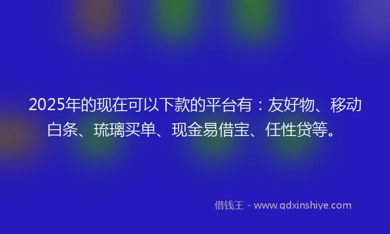 2025年的现在可以下款的平台有：友好物、移动白条、琉璃买单、现金易借宝、任性贷等。