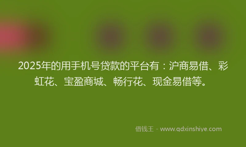 2025年的用手机号贷款的平台有：沪商易借、彩虹花、宝盈商城、畅行花、现金易借等。