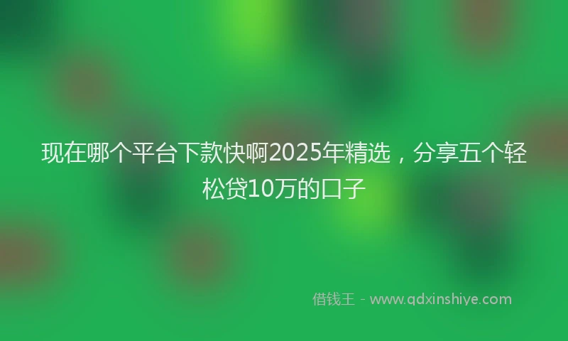 现在哪个平台下款快啊2025年精选，分享五个轻松贷10万的口子