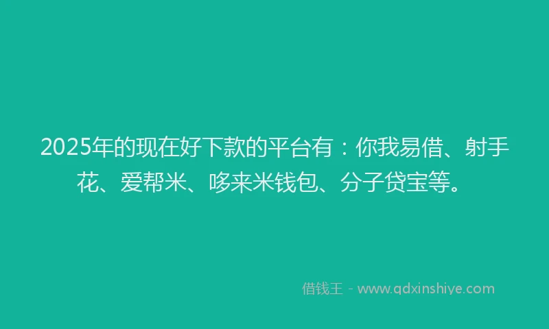 2025年的现在好下款的平台有：你我易借、射手花、爱帮米、哆来米钱包、分子贷宝等。