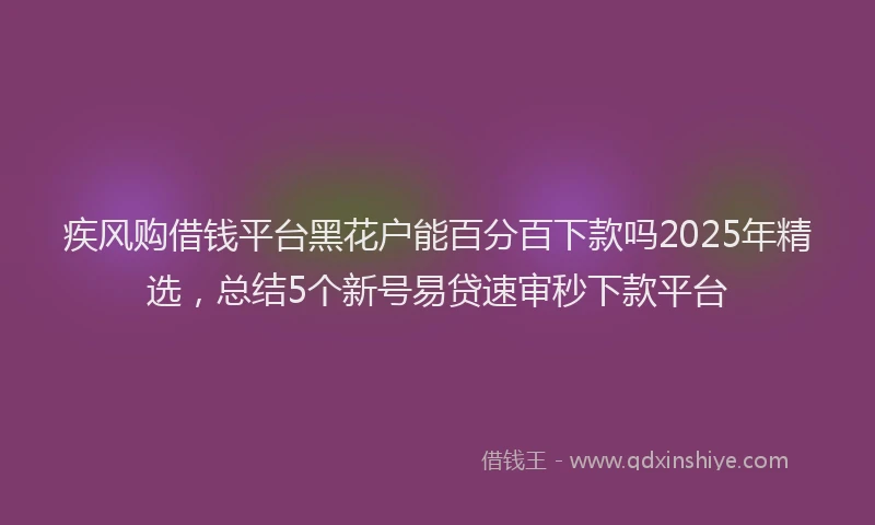 疾风购借钱平台黑花户能百分百下款吗2025年精选，总结5个新号易贷速审秒下款平台