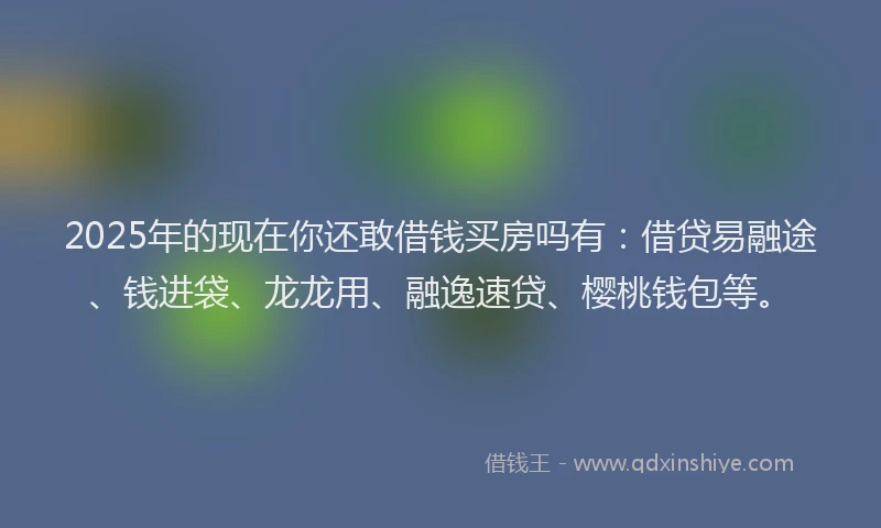 2025年的现在你还敢借钱买房吗有：借贷易融途、钱进袋、龙龙用、融逸速贷、樱桃钱包等。