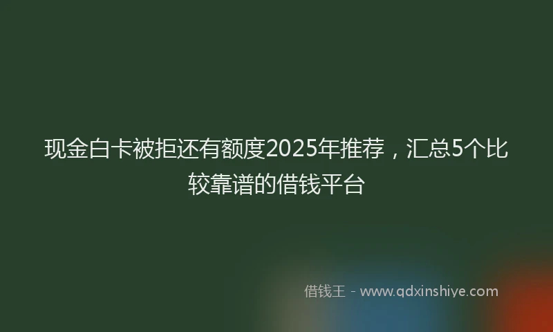 现金白卡被拒还有额度2025年推荐，汇总5个比较靠谱的借钱平台
