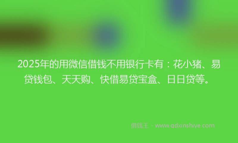 2025年的用微信借钱不用银行卡有：花小猪、易贷钱包、天天购、快借易贷宝盒、日日贷等。